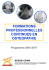 FORMATIONS PROFESSIONNELLES CONTINUES EN