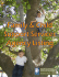 Family and child support services agency listing