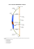 l`arc a poulies comprendre et regler