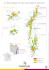 Carte A4 des 5 vignobles