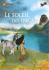 Le soleil des Incas