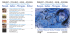cd flute 54 - Naxos Music Library