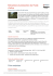 Extraction et production de l`huile d`olive