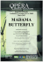 dossier butterfly