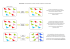 Derive genetique et selection naturelle