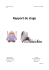 Rapport de stage - Quentin Comte-Gaz