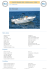 Bateau modele : `WHITE SHARK 205`