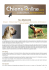 FILA BRASILEIRO