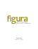 Programme - Figura