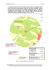 Etude d`impact - Pr&eacute;fecture de l`Ari&egrave;ge