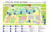 Plan du CHU de Dijon