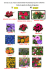 Photos Fleurs