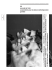 Journal 68 - ADC - Association pour la danse contemporaine