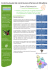 Téléchargez Lettre_Information_dec2015 (Poids : 271.64 Ko)