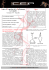 Téléchargez le pdf