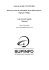 Etude de la faille CVE-2010-0013 Directory..