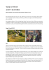 COMPTE RENDU DE VOYAGE VIETNAM RAVEL