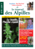 &Eacute;t&eacute; 2011