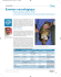 Examen neurologique Chat