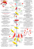 DESSIN spirale 2 - Les Passagers du Vent