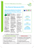 Plan Global de Déplacements (PGD)