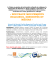 nouveaux mouvements religieux, minorités et médias