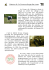 Un peu d`histoire2 - Ferme Auberge des Cimes