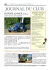 journal du club - sodep vintage cars