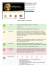 Evaluation du site webcertain.com