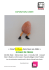 EXPOSITION-VENTE
