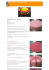 Cake design : jolie boîte à fleurs - Zodiosphere : Blog Zodio