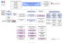 (Organigramme HC août 2016)