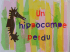 Un hippocampe perdu