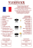 SAUCES STANDARDS 1. Sauce Frites 2. Mayonnaise “authentique