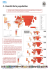 5 - Densité de la population - Service cartographie de l`IRD