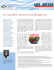 Publication (format PDF)