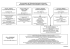 organigramme 2016 2017