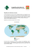 La répartition des forêts et le volume de bois dans le monde