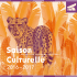 Saison Culturelle - Communauté de communes Au Pays de la