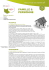 Famille n&deg;46