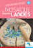 la Mosaïque