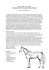 Evaluation de l`&eacute;tat corporel des chevaux
