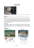 CAS DU PIZZLY Document 1 : Document 2 : Ursus maritimus (ours