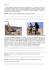 Exercices du cours (cliquez sur le lien)