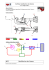 synthese-coupe tube corrigé _modli_