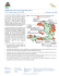 HAITI Flash Info de la Sécurité Alimentaire