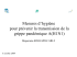 pr&eacute;cautions grippe A H1N1