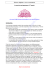 Science religieuse : cours N°2 (module 2) Le savoir et son