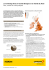 Le marketing direct en Grande-Bretagne et en Irlande du Nord