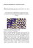 Turing et la morphogenèse: les "structures de Turing"